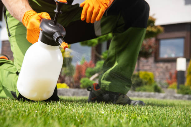 Pest Control Cost in Minersville, PA